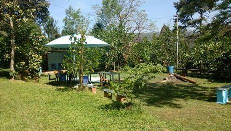 9 Cottages In Madikeri Have Rooms And Vibes As Comfy As Your Homes! 9 Cottages In Madikeri Have Rooms And Vibes As Comfy As Your Homes!