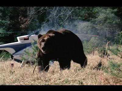 Ten Days of Terror!: Grizzly