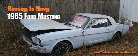 abandoned 1965 mustang rotting in style 200ci inline 6 rust new jersey