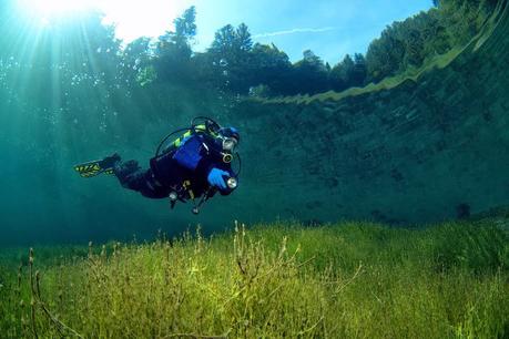 A diver swallowed by a Whale and suvived !