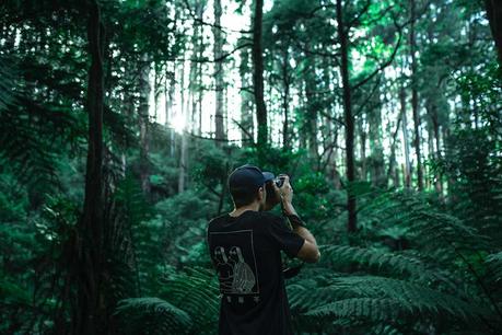 Photographer doing forest photography