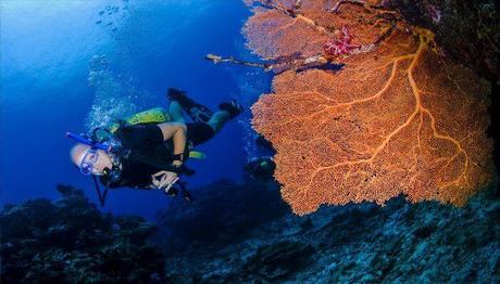 8 Outstanding Spots For Scuba Diving In Koh Samui In 2020!