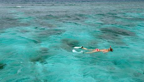 8 Outstanding Spots For Scuba Diving In Koh Samui In 2020!