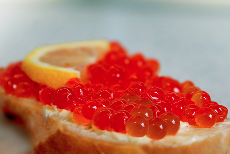 Where Can You Have Caviar Delivered?