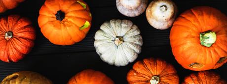 What to do with Pumpkin Waste