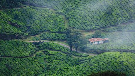 Why You Should Visit Kerala In Spring? Here Are The Beautiful Reasons That’ll Get You Going!