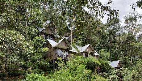 9 Exotic Cottages In Kerala For A Great Stay In 2021