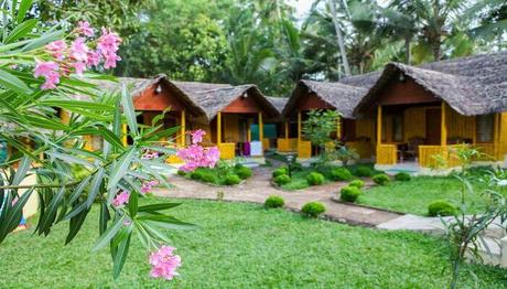 9 Exotic Cottages In Kerala For A Great Stay In 2021