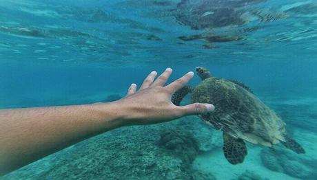 A Handy Guide To Have Fun Underwater!