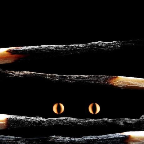 Burning Matche Art by Stanislav Aristov