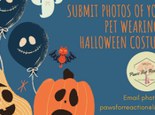 October Featured Pets: Halloween Theme!