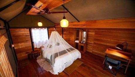 6 Amazing Resorts Near Kalpetta To Enjoy The Natural Escape!