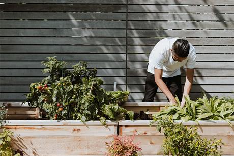 How to Step Up Your Gardening Game