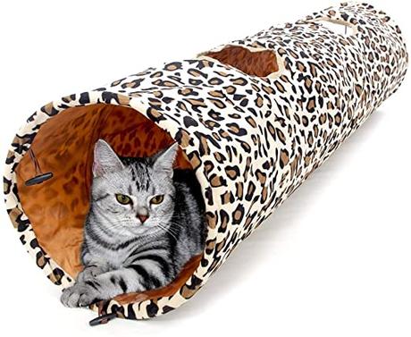 Cat Toys: All There is to Know About Them and Some DIY Cat Toy Tips