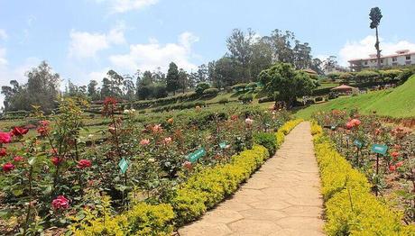 10 Places To Visit In Ooty In May For An Enchanting Experience!