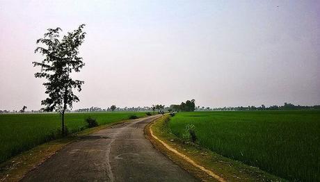 Which Destination Is More Blissful?