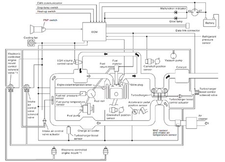 Common rail injection system