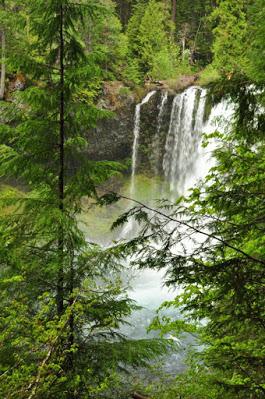 HIKING ALONG THE MCKENZIE RIVER NEAR EUGENE, OREGON, Guest Post by Caroline Hatton at The Intrepid Tourist