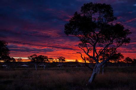 Visiting The Karijini National Park