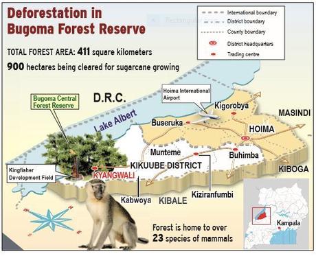 Do you support the campaign to save Bugoma Forest?