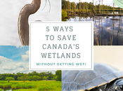 Stay Save Wetlands: Things from Home