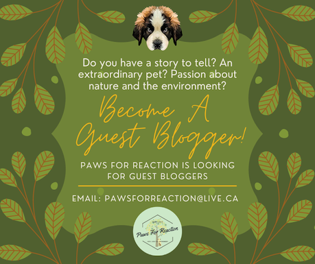 Paws For Reaction is looking for guest bloggers