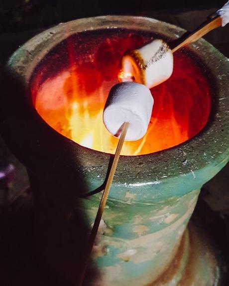 Project 366 Week 45 – It’s November