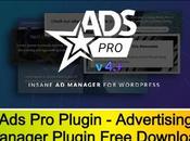 Plugin WordPress Advertising Manager Free Download