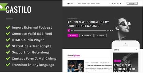 Top WordPress Themes for Podcast