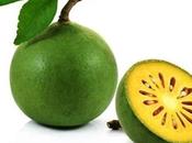 Bilva Fruit Medicinal Benefits