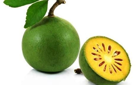 Bilva Fruit – Medicinal Benefits