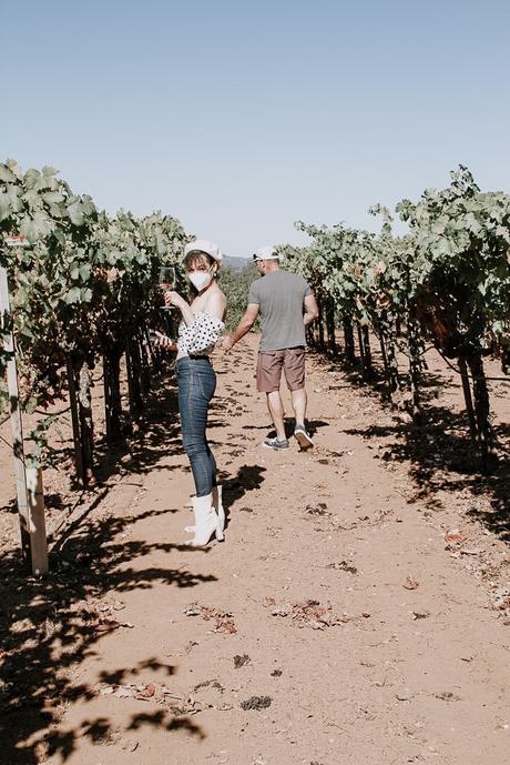 Return to Dry Creek Valley: A Zinfandel Tour