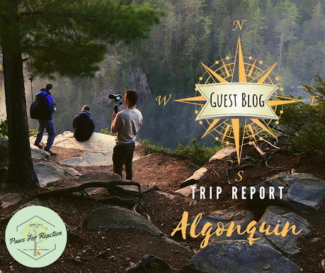 Trip Report Algonquin docu-series about history and conservation of Algonquin Provincial Park