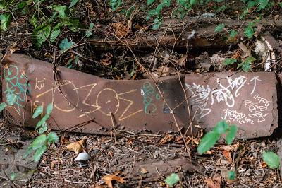 Artefacts of a lost civilization