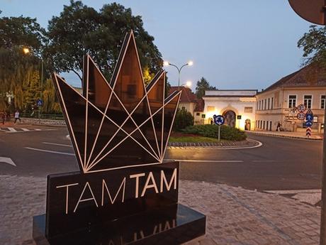 An Event to Remember: TAMTAM Festival 2020