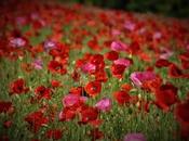 Remembering