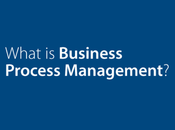 What Business Process Management?
