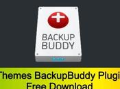 iThemes BackupBuddy Plugin Free Download