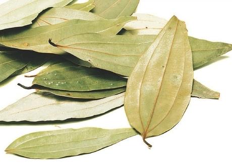 Bay Leaf – Medicinal Benefits