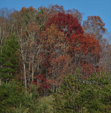 On a Late Autumn Day