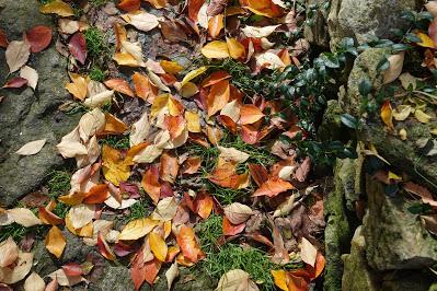 On a Late Autumn Day