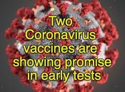 Facts About Vaccines Coronavirus