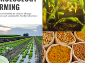 Agroecology Farming Africa: Climate Change Sustainable Food Production
