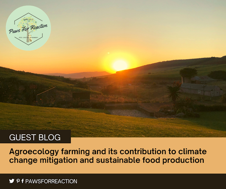 Agroecology farming and its contribution to climate change mitigation and sustainable food production