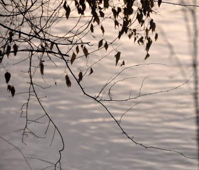 From the Archives---November Past