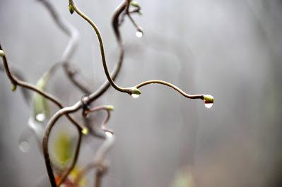 From the Archives---November Past