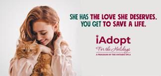 iAdopt For the Holidays: Tis' the season to find a forever home
