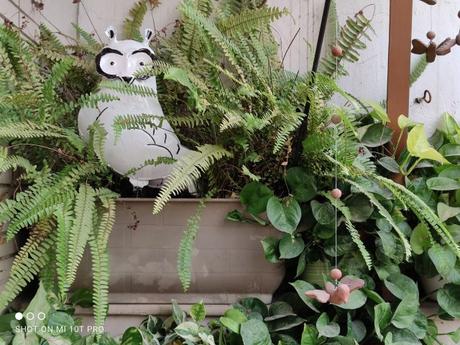 OnePlus 8T vs Xiaomi Mi 10T Pro: Similar performance, different approach