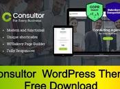 Consultor Business Financial Advisor WordPress Theme Free Download