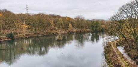 Project 366 Week 47 – The Countdown to Christmas Project 366 Week 47 – The Countdown to Christmas